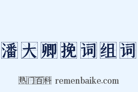 潘大卿挽词组词是什么意思的图片